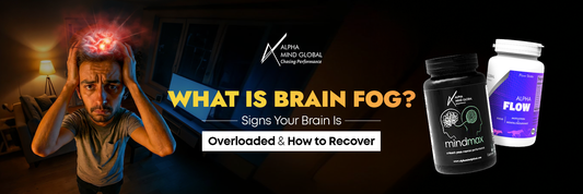 What is Brain Fog
