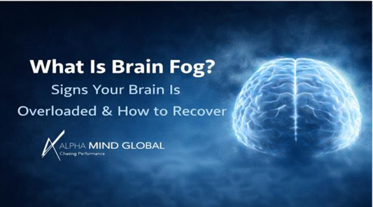 What Is Brain Fog? Signs Your Brain Is Overloaded & How to Recover
