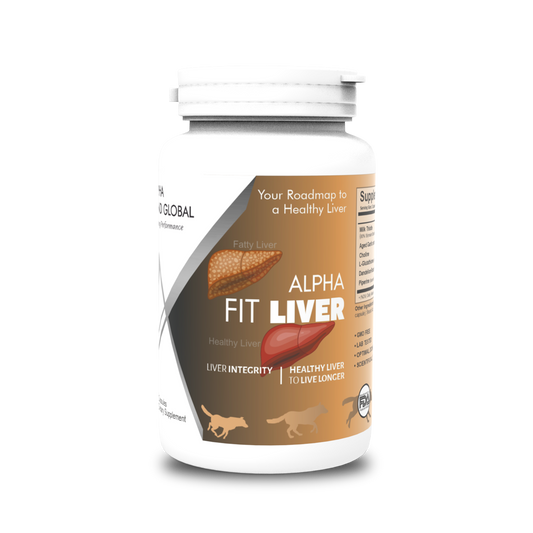Alpha Fit Liver | Liver detox for men & women | Milk Thistle, Dandelion Root Extract, Aged Garlic Extract, Choline, L-Glutathione – 60 tabs