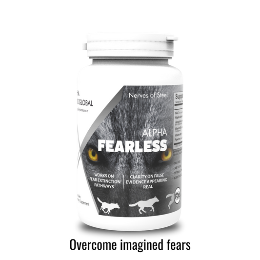 Alpha Fearless | Nootropic - Overcome imagined fears |  NALT, N-Acetyl-L-Tyrosine, Nigella Sativa | 60 capsules