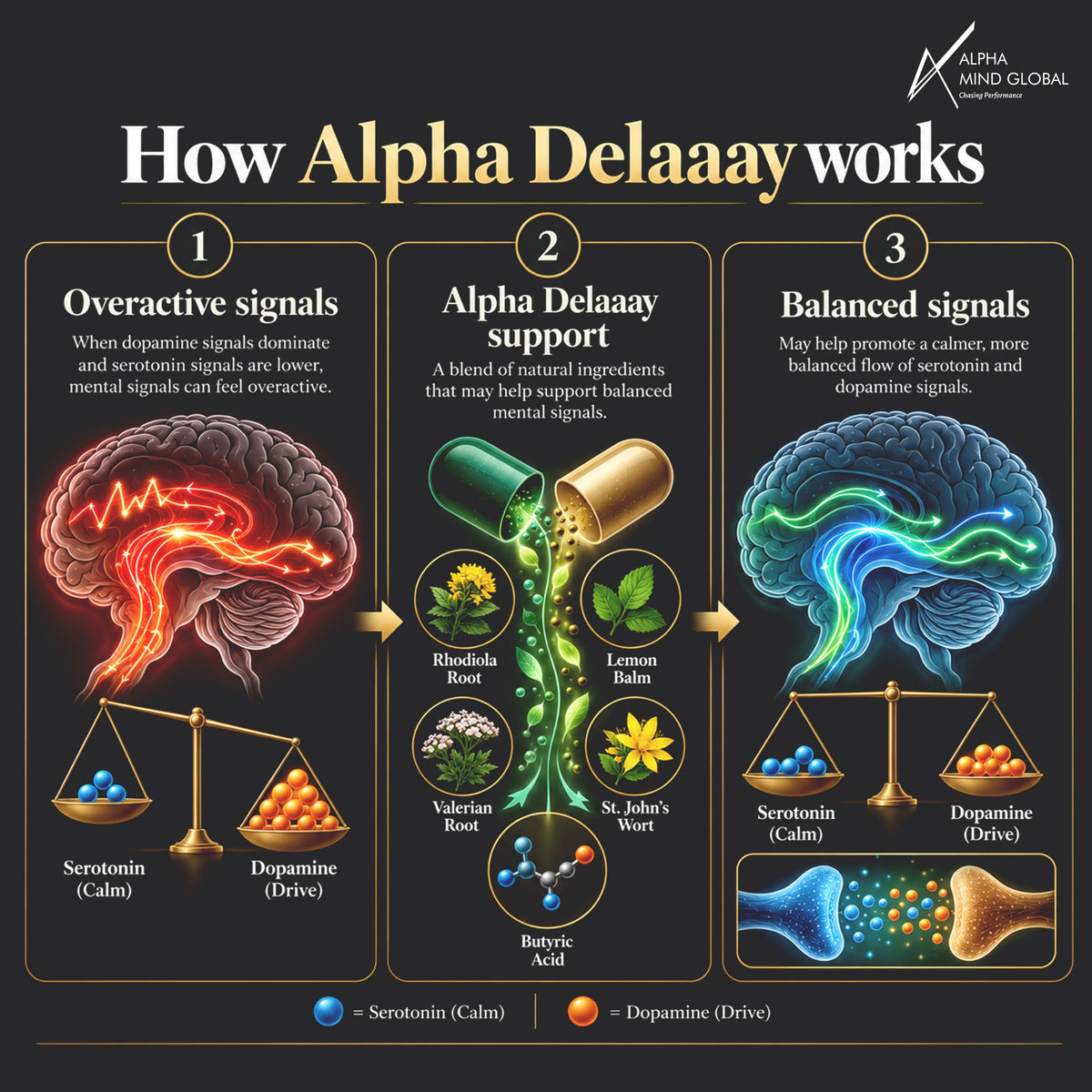 Infographic showing how Alpha Delaaay works: overactive signals to balanced signals.